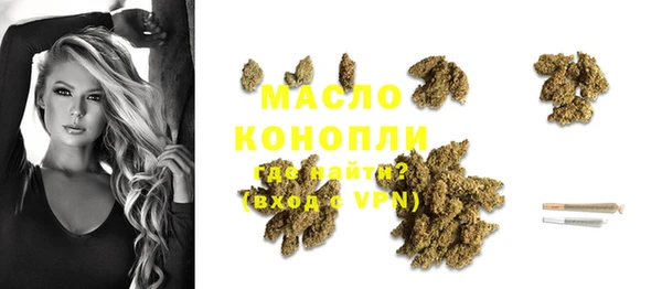 прущий лед Михайлов