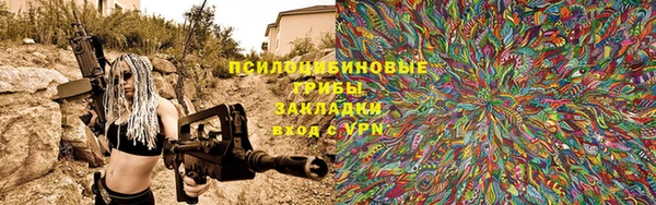 прущий лед Михайлов