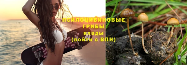 spice Михайловск