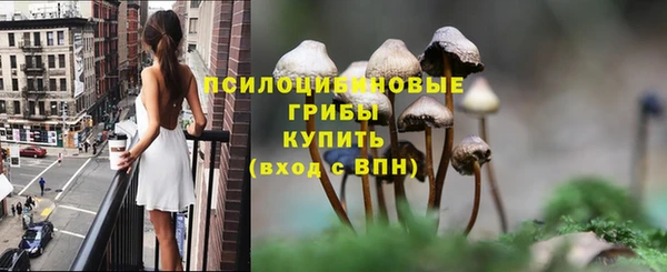 spice Михайловск