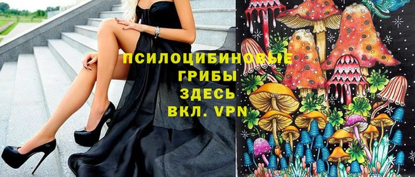 spice Михайловск
